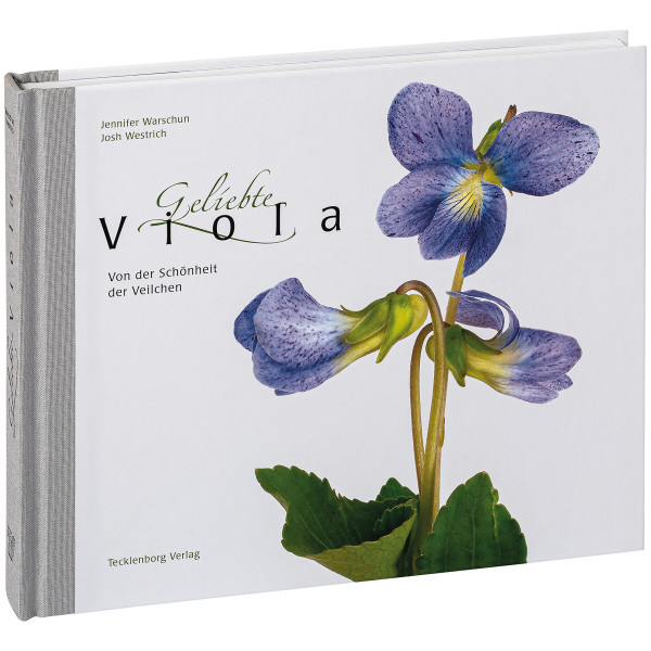 Tecklenborg Verlag Geliebte Viola