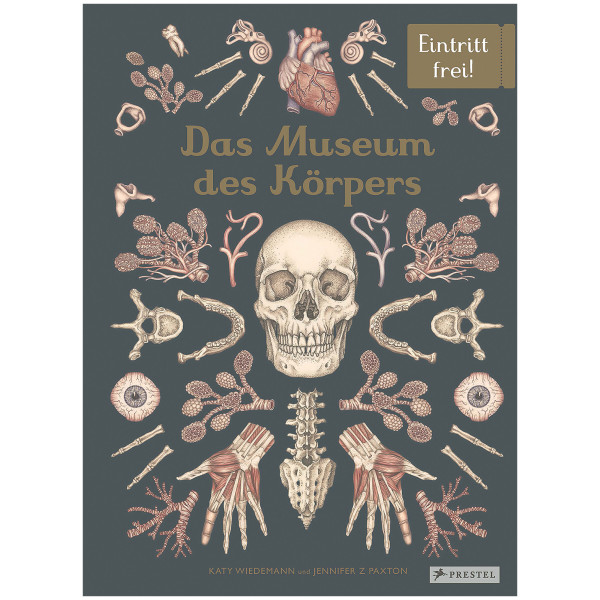 Prestel Verlag Das Museum des Körpers