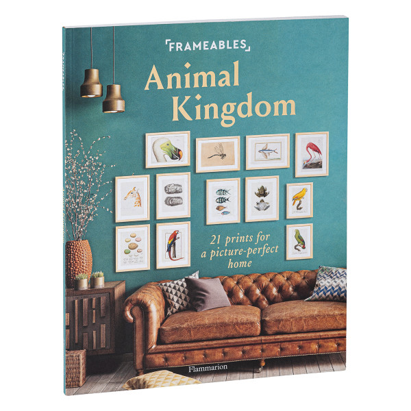 Flammarion Verlag Animal Kingdom